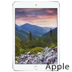 Ремонт Apple iPad mini 3 в Омске