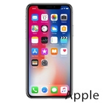 Ремонт iPhone X(10) в Омске